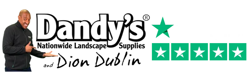 dandys.com